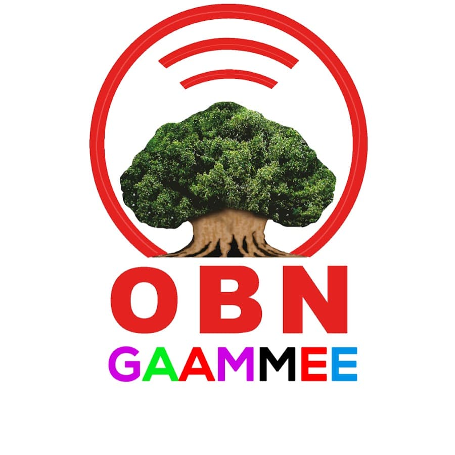 OBN Gaammee